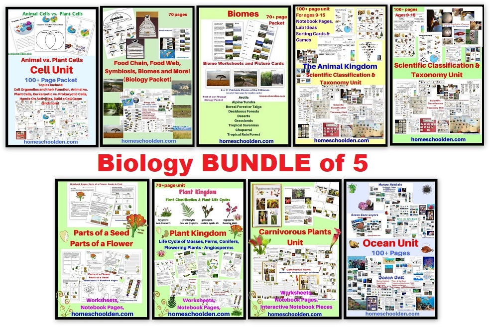 Biology Units